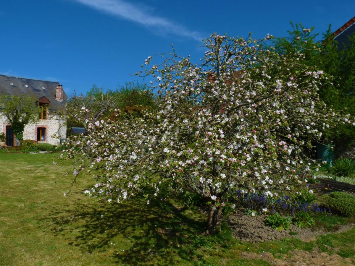 Een Prachtige Gite In Frankrijk Chez Gerard Vieilleville Bagian luar foto